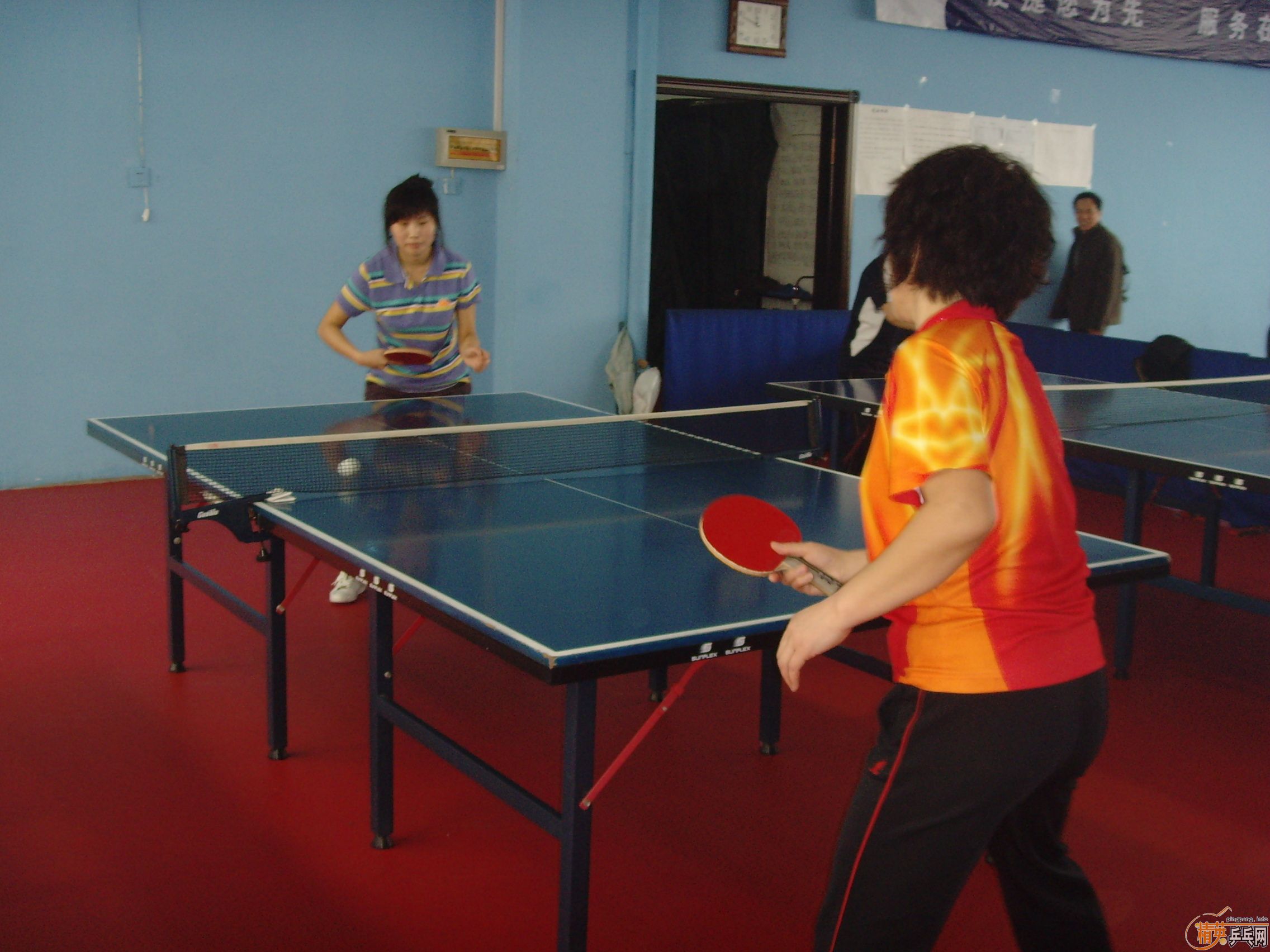 ��һ�쾫Ӣ��������ƹ������ֲ�����ͼƬ���ܣ������������㣩