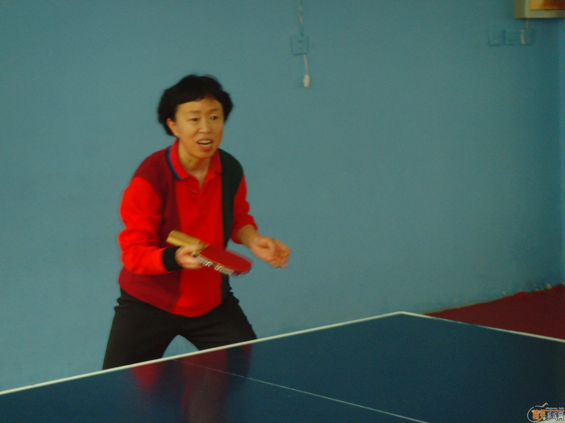 ��һ�쾫Ӣ��������ƹ������ֲ�����ͼƬ���ܣ������������㣩