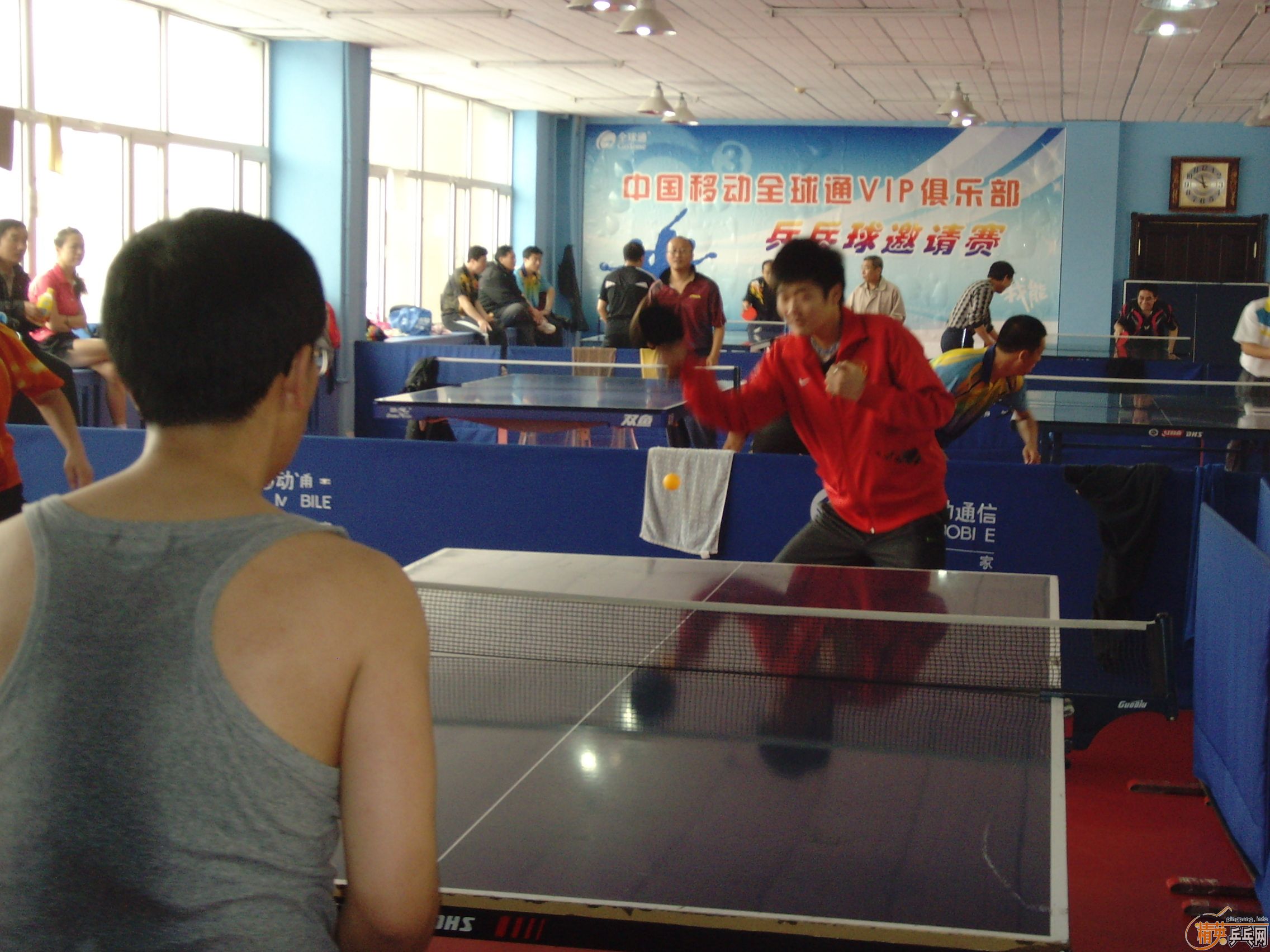 ��һ�쾫Ӣ��������ƹ������ֲ�����ͼƬ���ܣ������������㣩