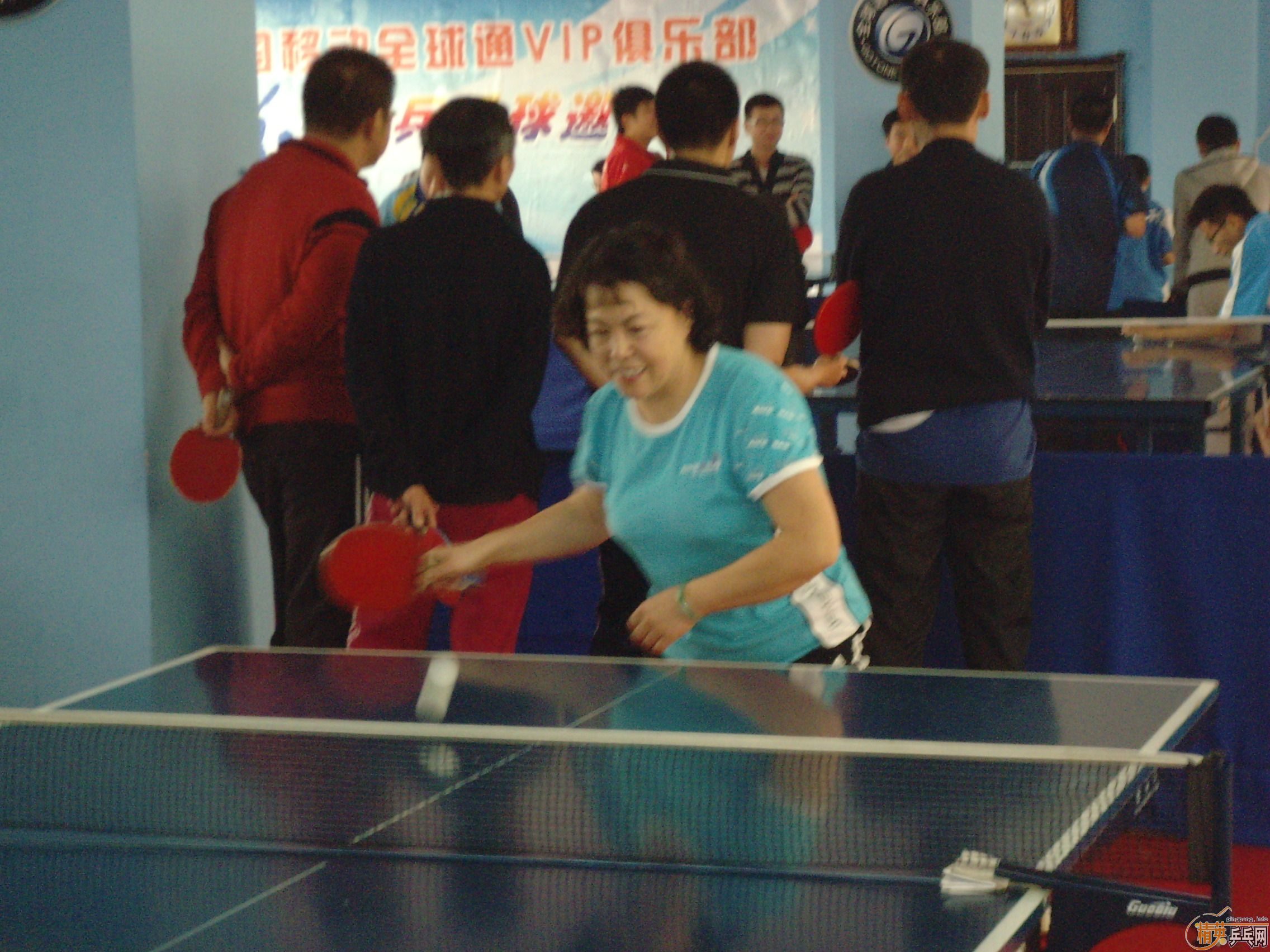 ��һ�쾫Ӣ��������ƹ������ֲ�����ͼƬ���ܣ������������㣩