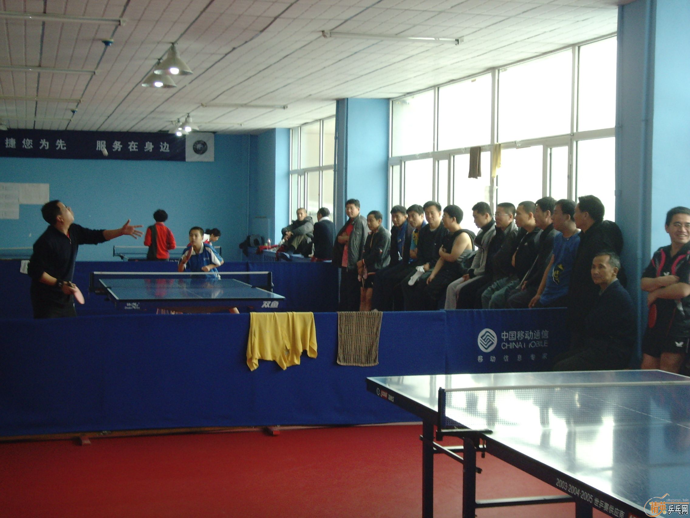 ��һ�쾫Ӣ��������ƹ������ֲ�����ͼƬ���ܣ������������㣩