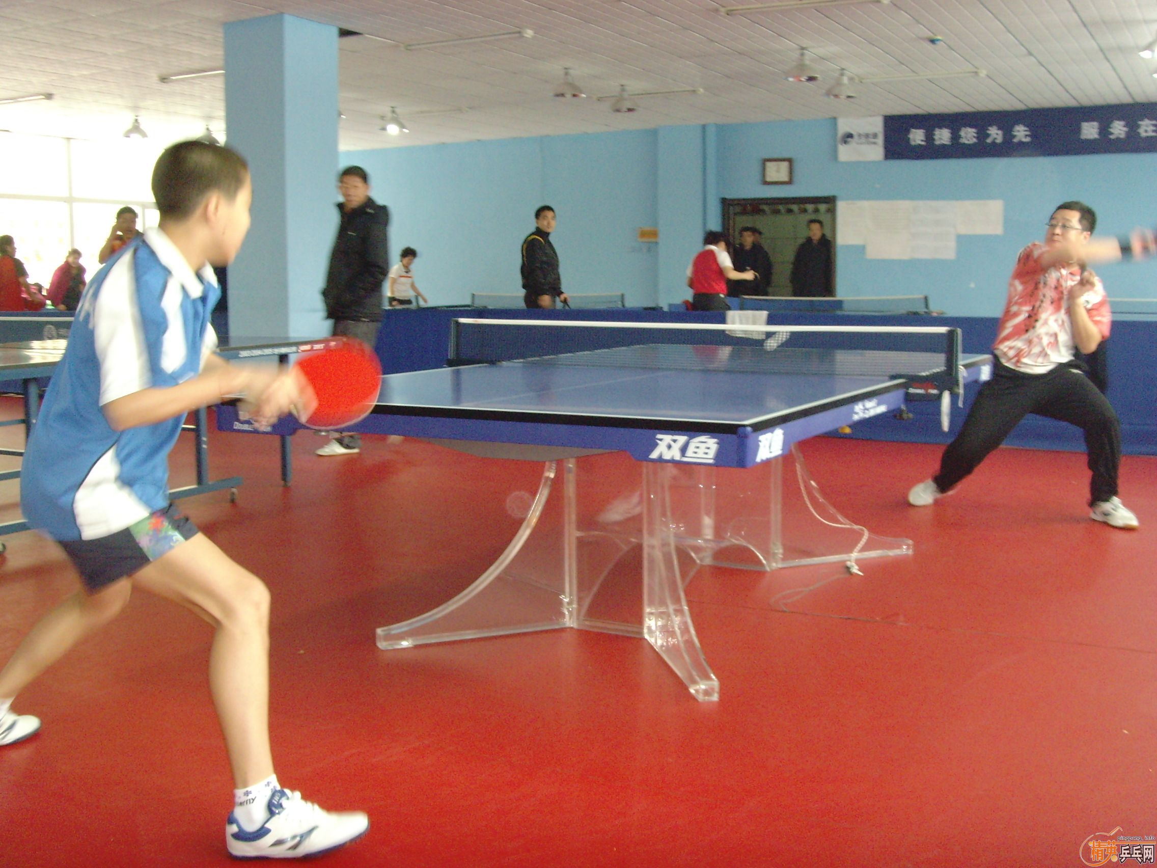 ��һ�쾫Ӣ��������ƹ������ֲ�����ͼƬ���ܣ������������㣩