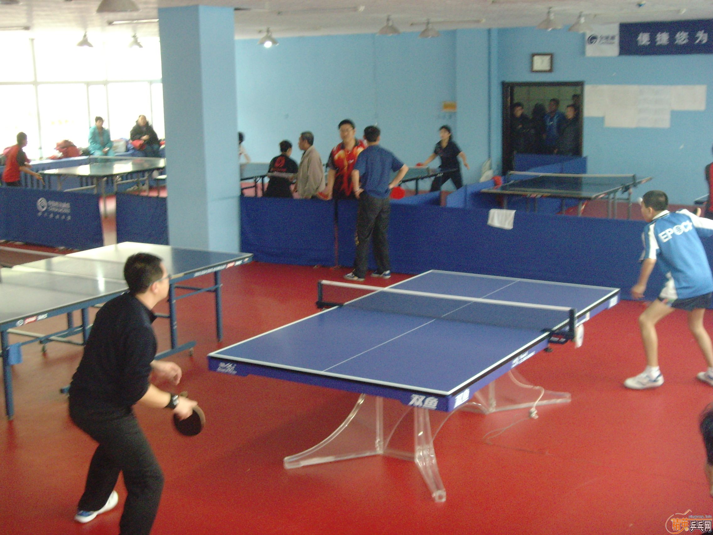 ��һ�쾫Ӣ��������ƹ������ֲ�����ͼƬ���ܣ������������㣩