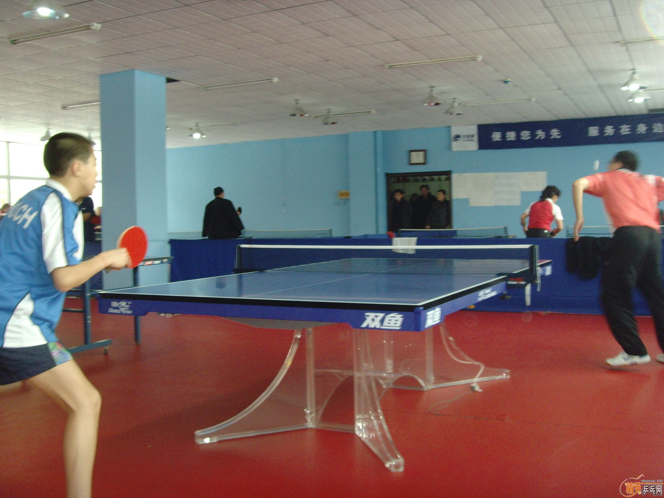 ��һ�쾫Ӣ��������ƹ������ֲ�����ͼƬ���ܣ������������㣩