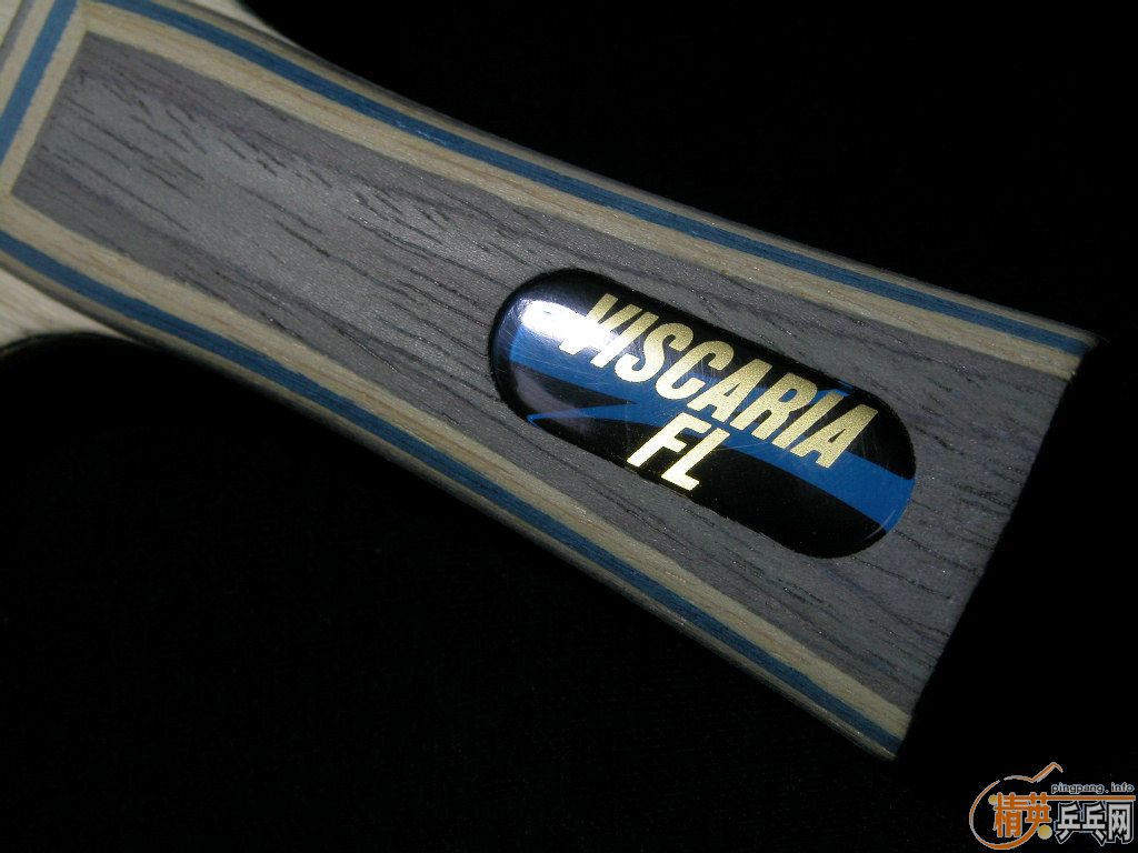 ƽ��ҹ�����±���viscaria,550