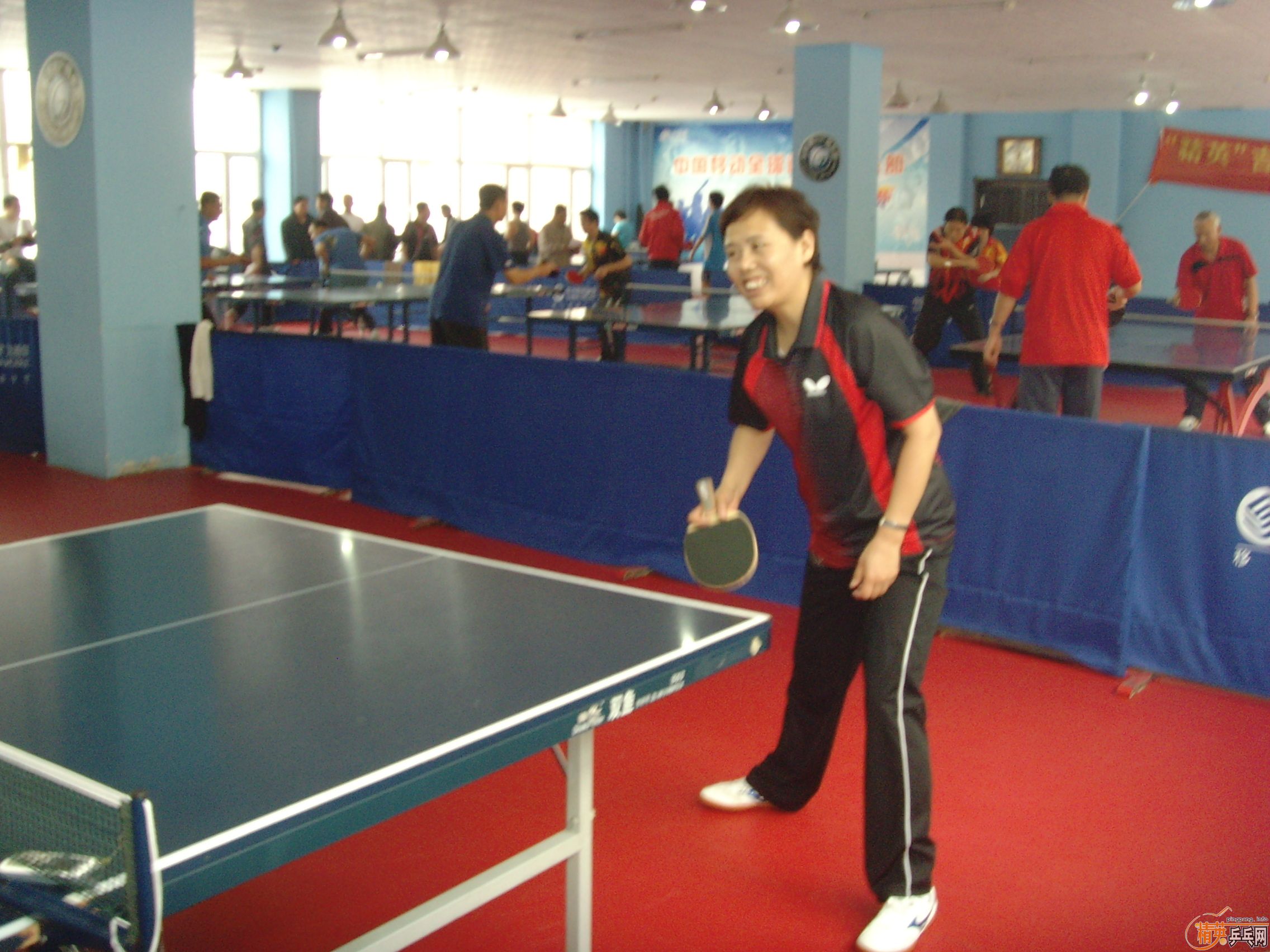 ��һ�쾫Ӣ��������ƹ������ֲ�����ͼƬ���ܣ������������㣩