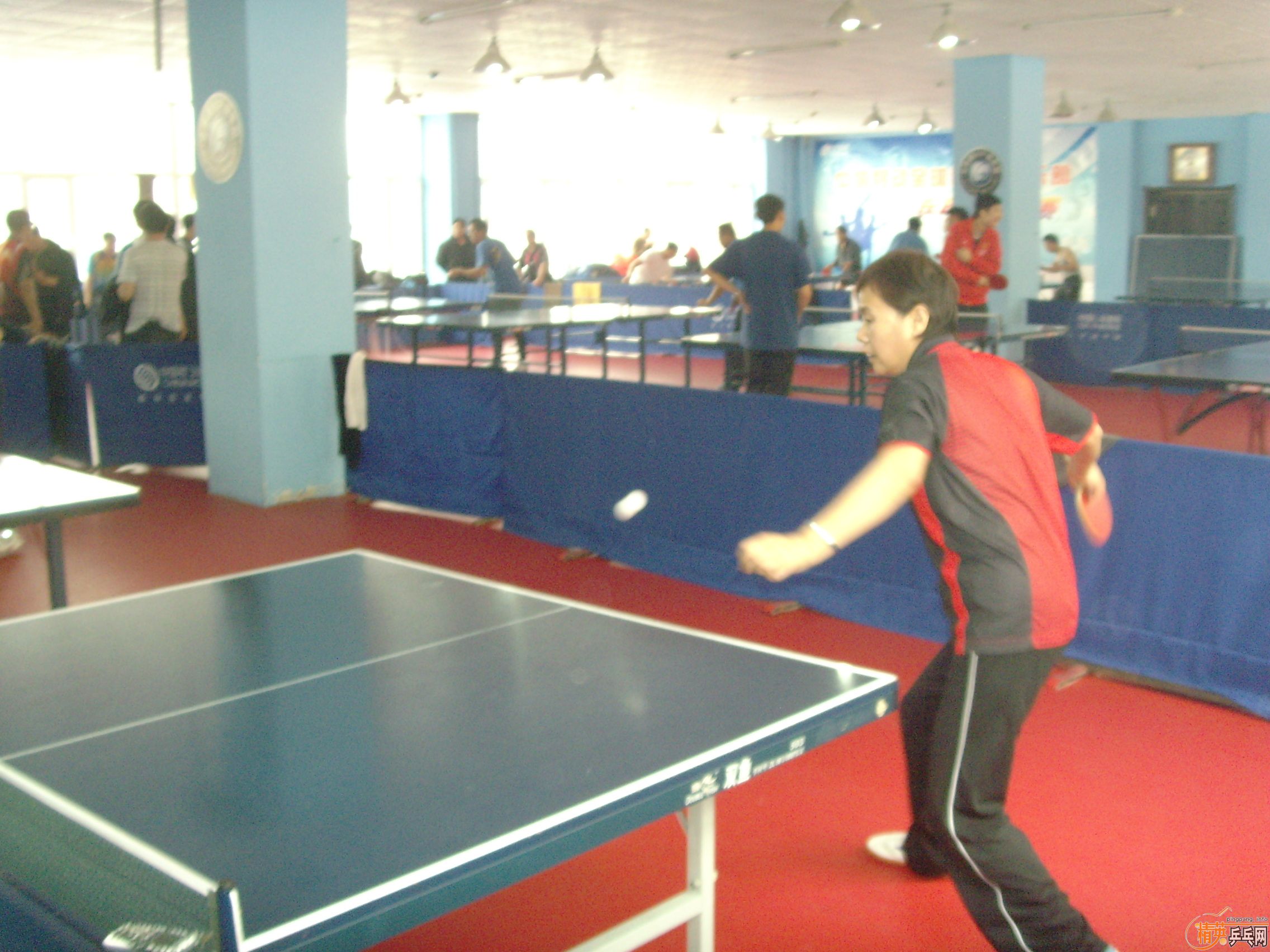 ��һ�쾫Ӣ��������ƹ������ֲ�����ͼƬ���ܣ������������㣩