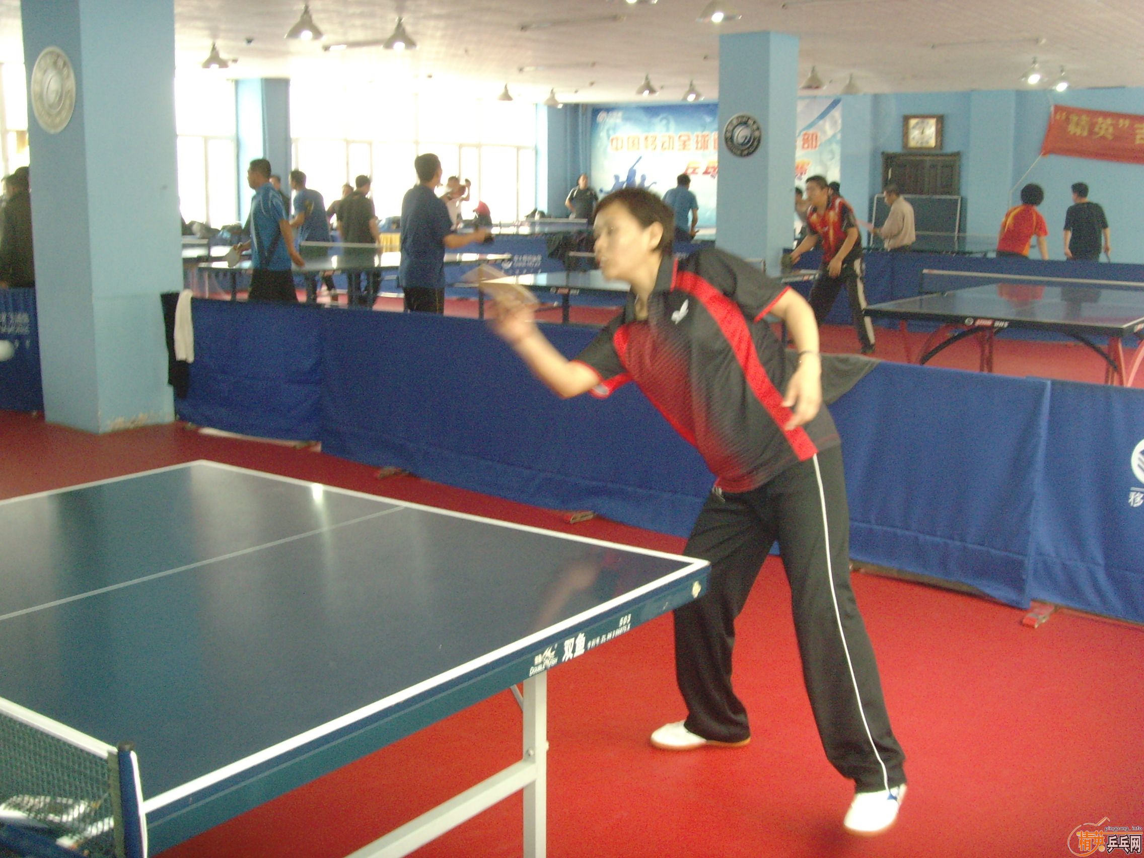 ��һ�쾫Ӣ��������ƹ������ֲ�����ͼƬ���ܣ������������㣩