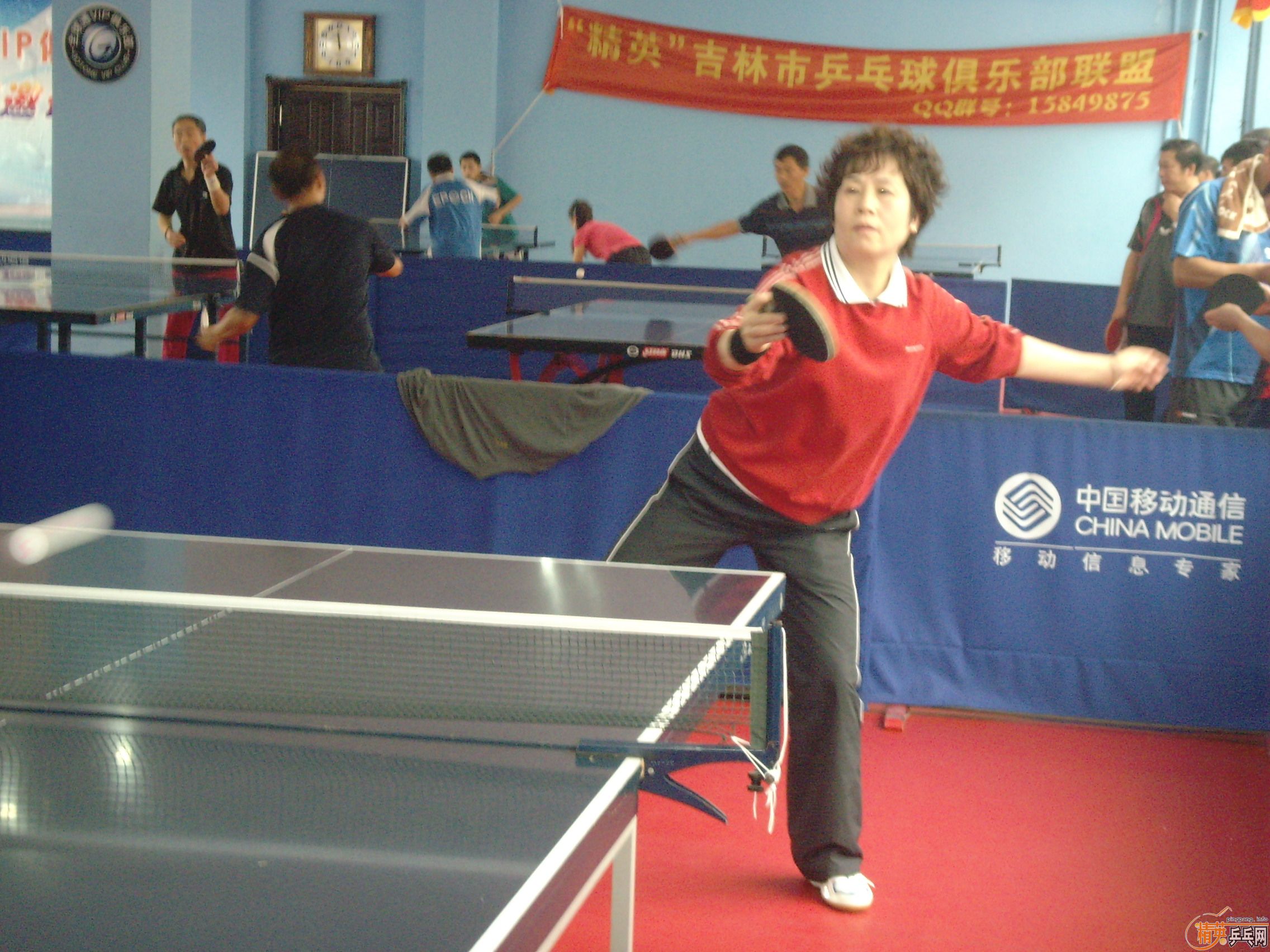 ��һ�쾫Ӣ��������ƹ������ֲ�����ͼƬ���ܣ������������㣩