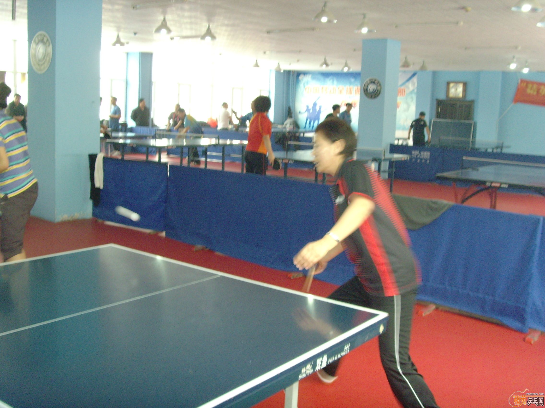 ��һ�쾫Ӣ��������ƹ������ֲ�����ͼƬ���ܣ������������㣩