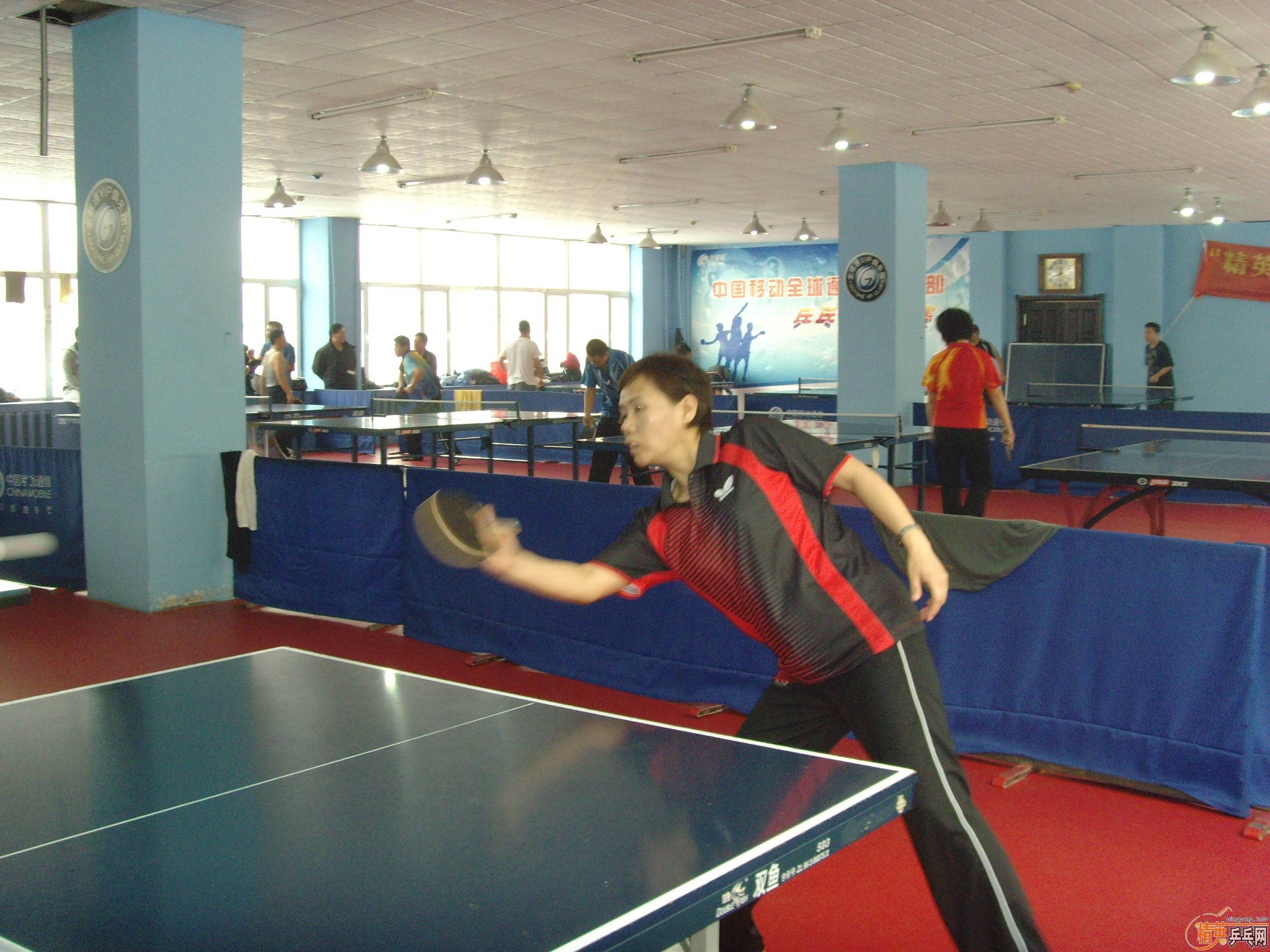 ��һ�쾫Ӣ��������ƹ������ֲ�����ͼƬ���ܣ������������㣩