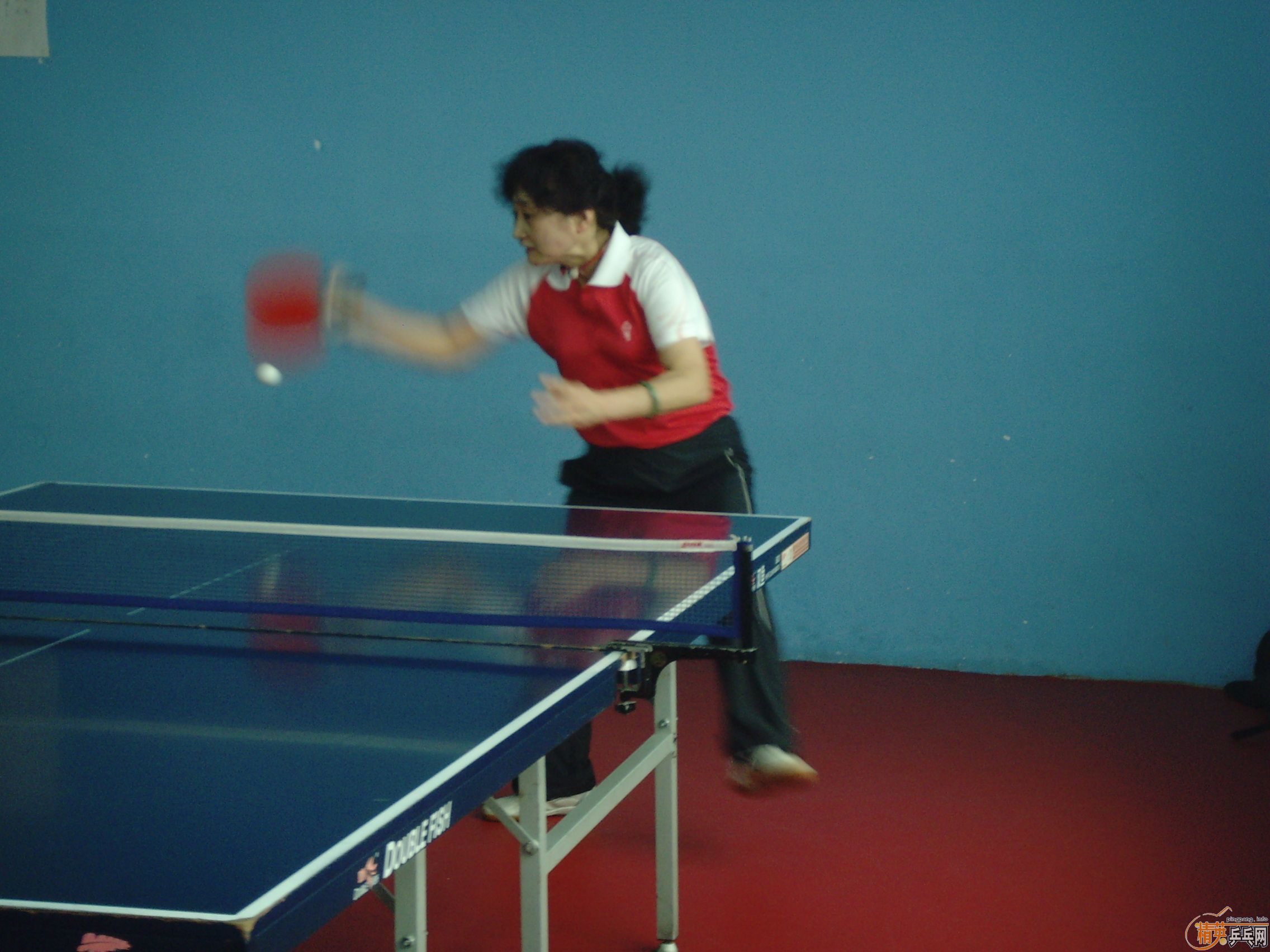 ��һ�쾫Ӣ��������ƹ������ֲ�����ͼƬ���ܣ������������㣩