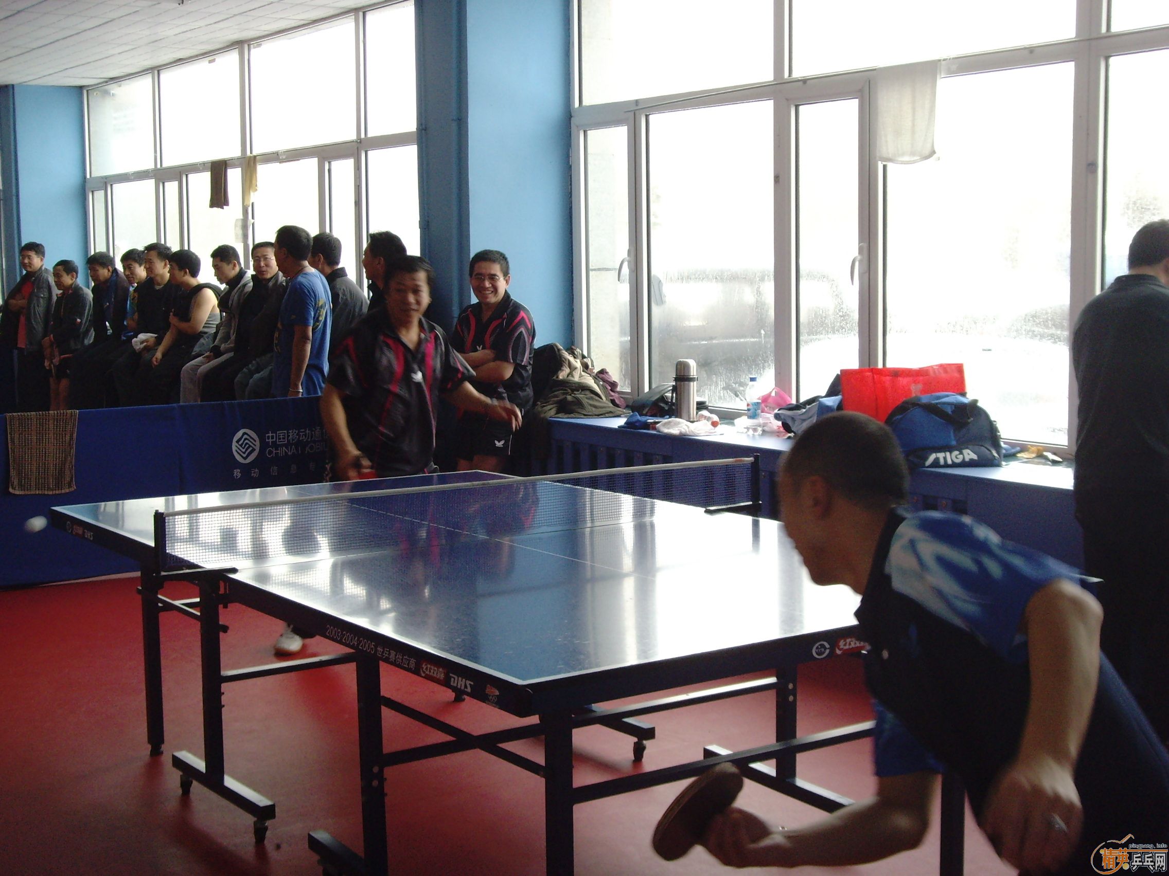 ��һ�쾫Ӣ��������ƹ������ֲ�����ͼƬ���ܣ������������㣩