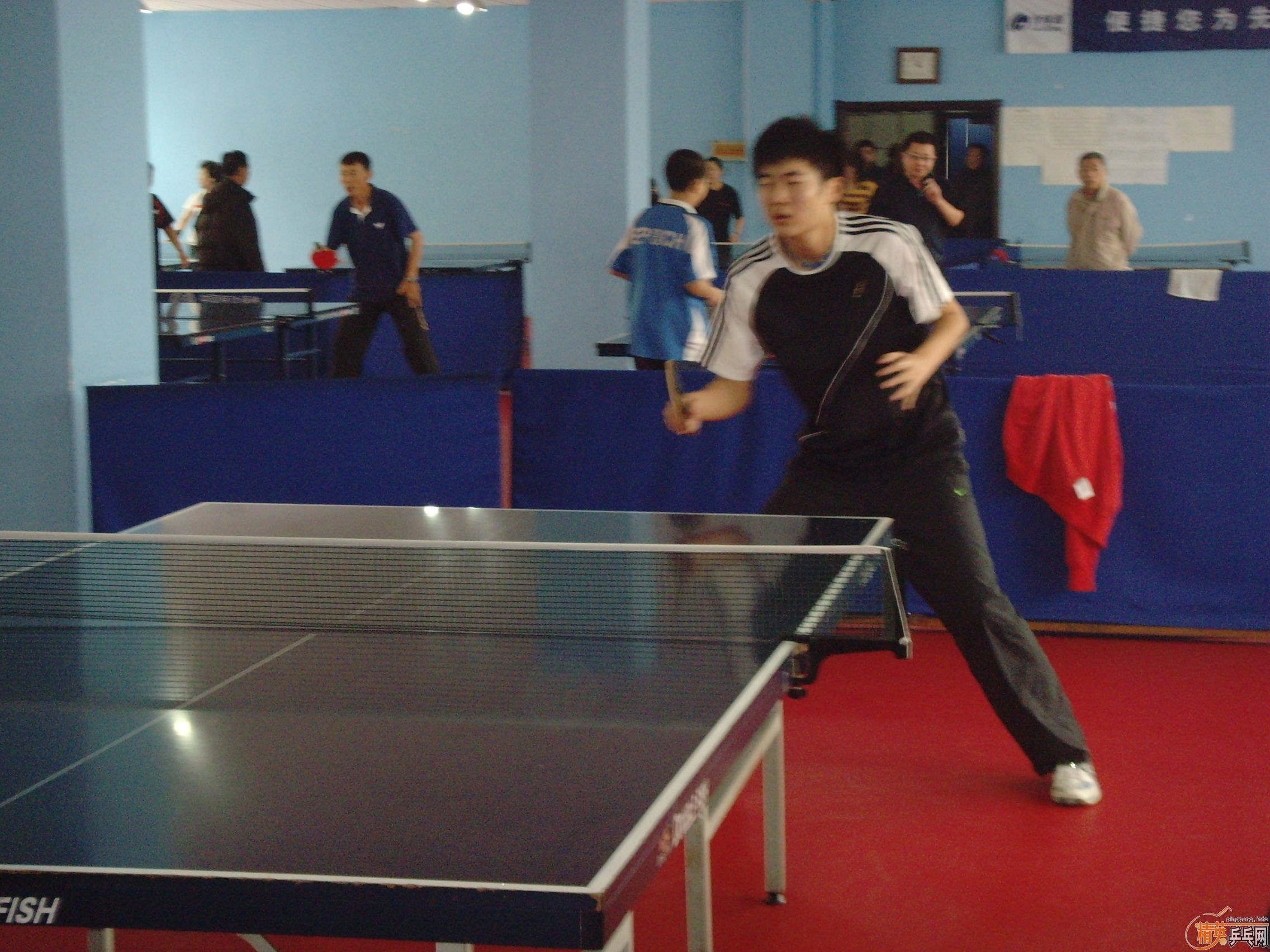 ��һ�쾫Ӣ��������ƹ������ֲ�����ͼƬ���ܣ������������㣩