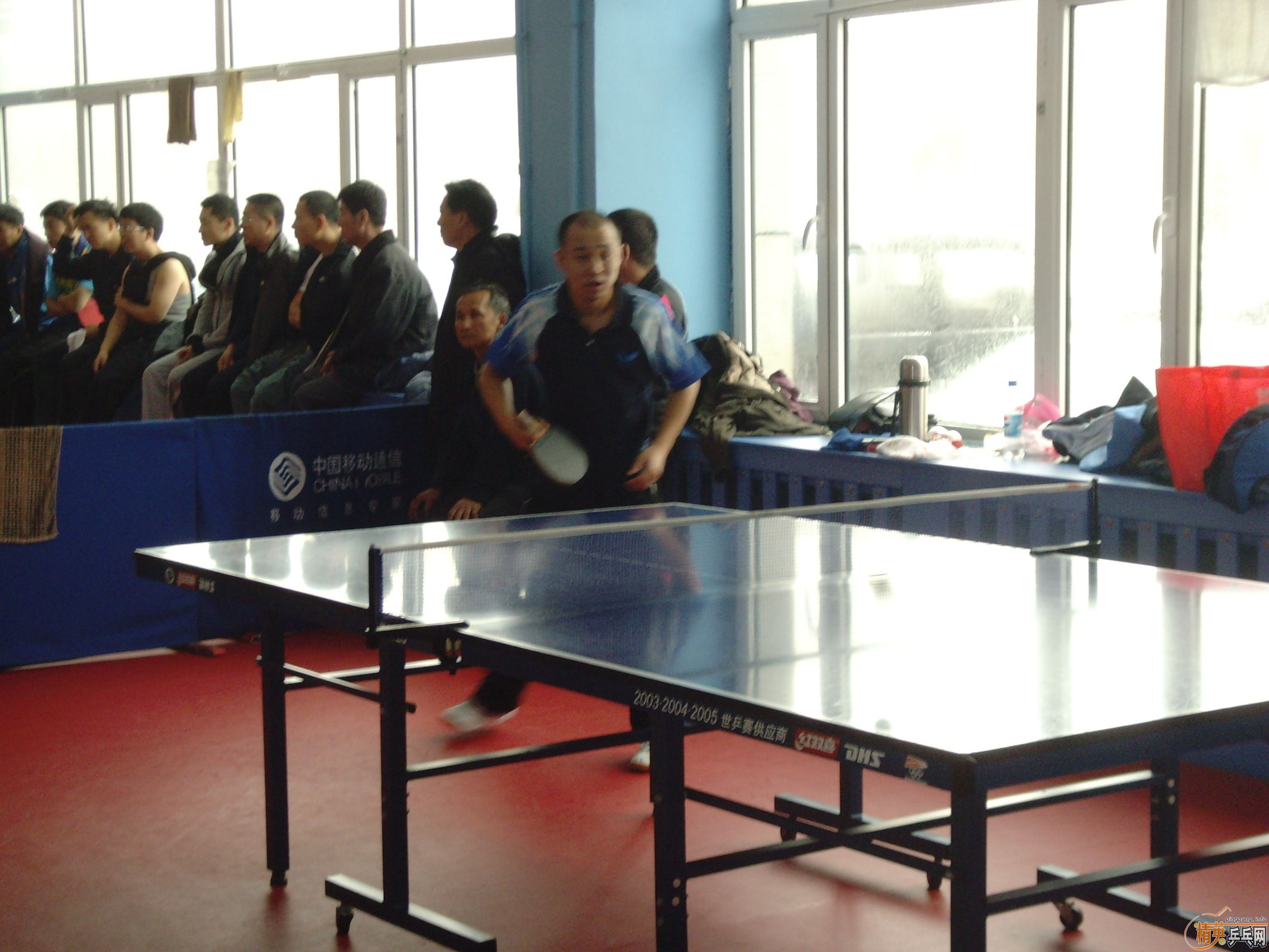 ��һ�쾫Ӣ��������ƹ������ֲ�����ͼƬ���ܣ������������㣩