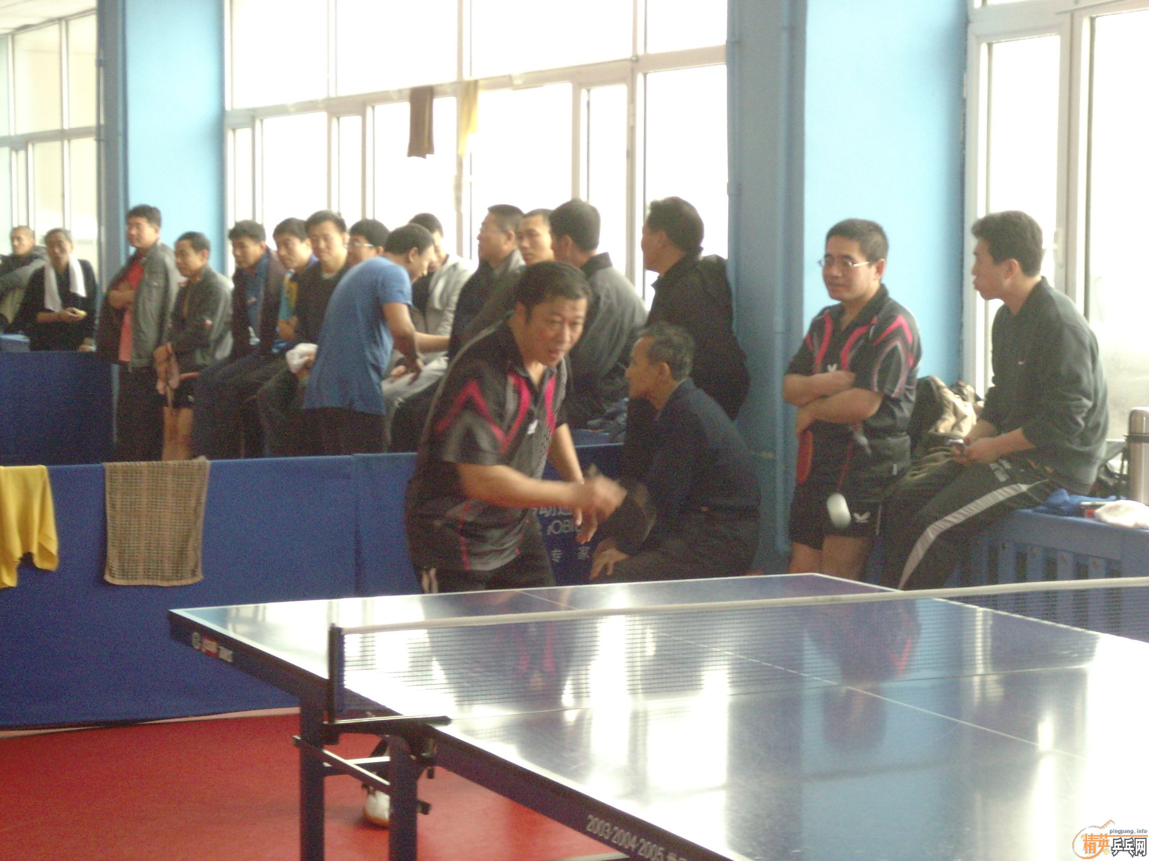 ��һ�쾫Ӣ��������ƹ������ֲ�����ͼƬ���ܣ������������㣩