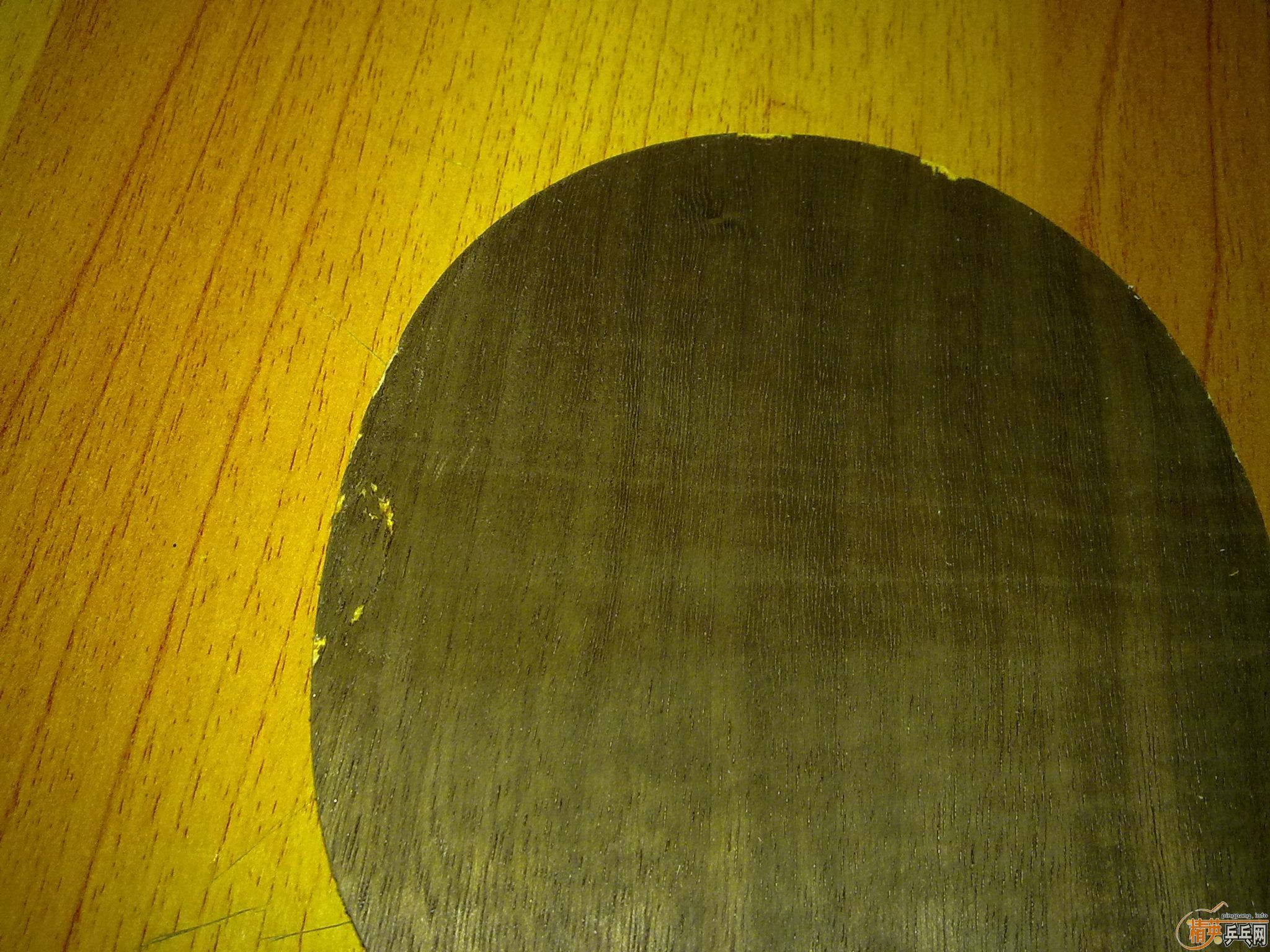 ����Ǯ�������°��л�YE������  �����OC����95�¼�¡̩����ɫ729-5�������㣬�����470��