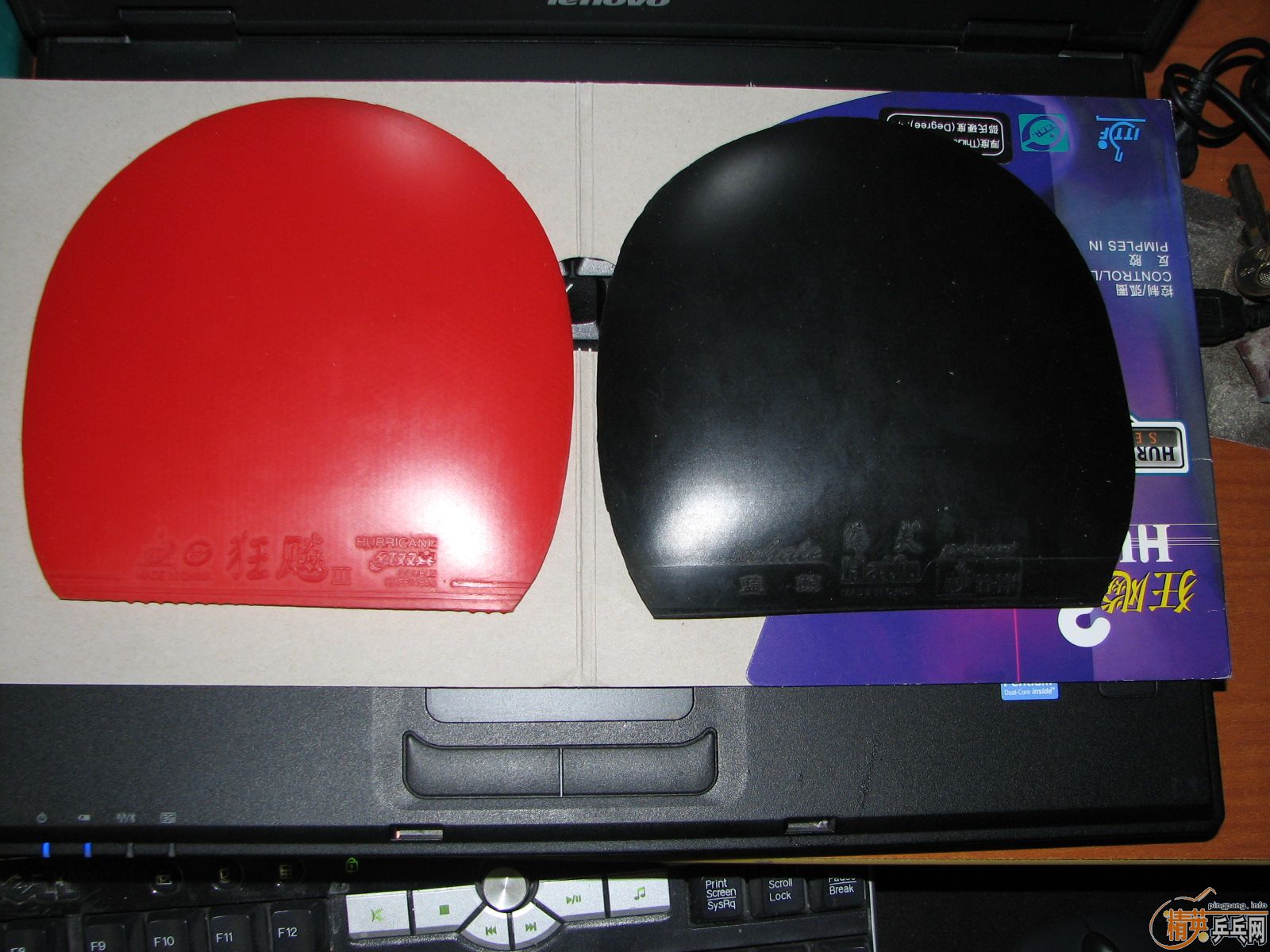 ��YE7���������ֽ�Ƥ