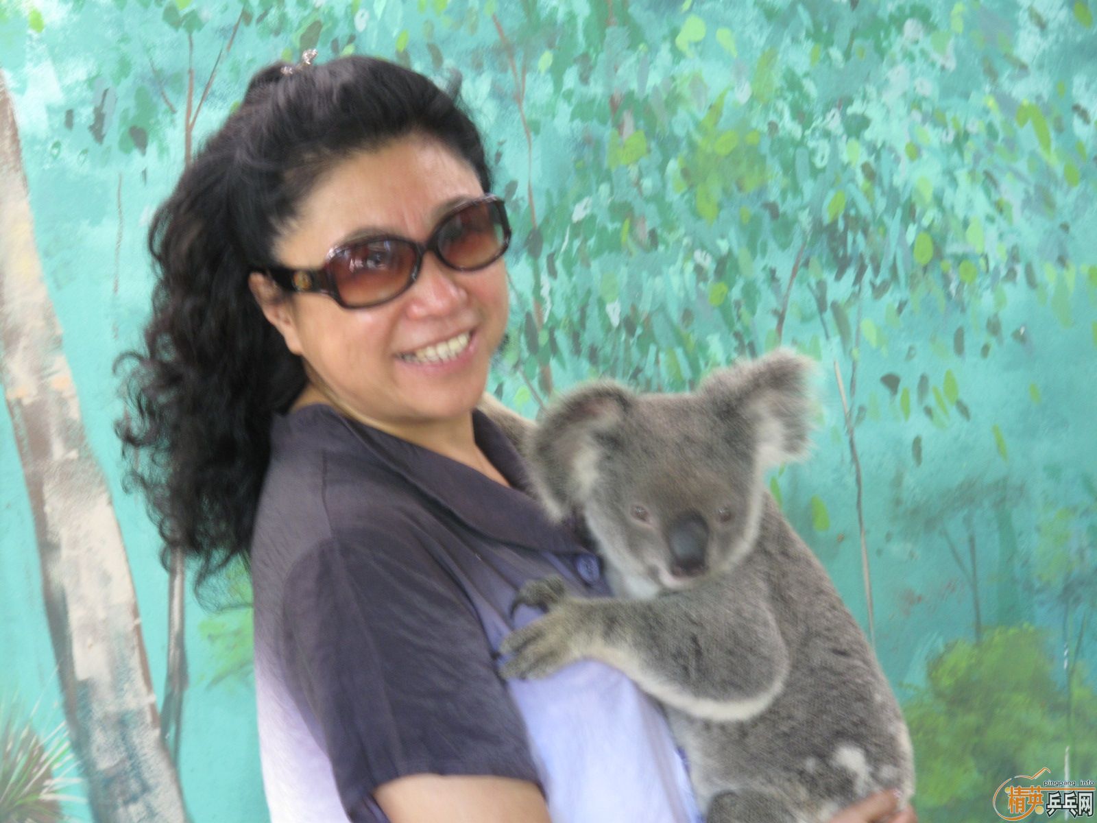 �ҵİĴ�������֮��---�ɰ��Ŀ���