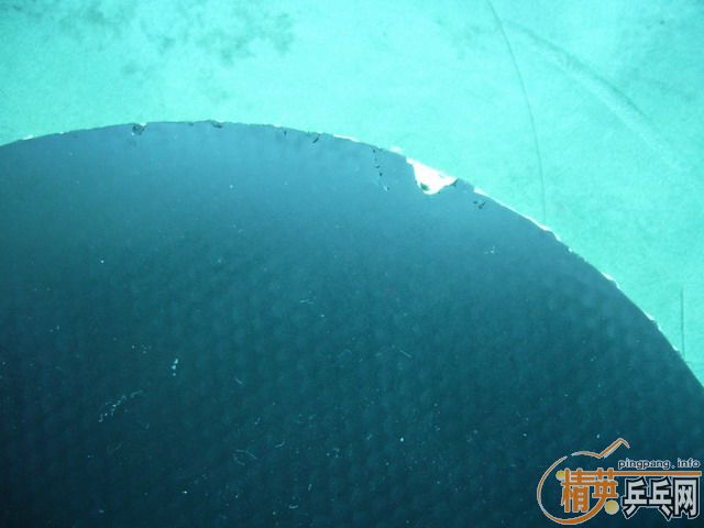 ӭʥ�� ������ ���SPEED FX��~~����������~½�������������׳�~~