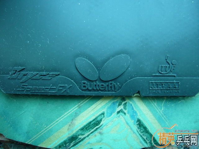 ӭʥ�� ������ ���SPEED FX��~~����������~½�������������׳�~~