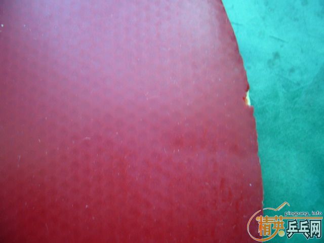 ӭʥ�� ������ ������RENANOS BRIGHT�����ˣ�~~����������~½�������������׳�~~