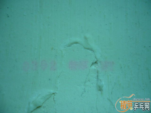 ӭʥ�� ������ ������RENANOS BRIGHT�����ˣ�~~����������~½�������������׳�~~