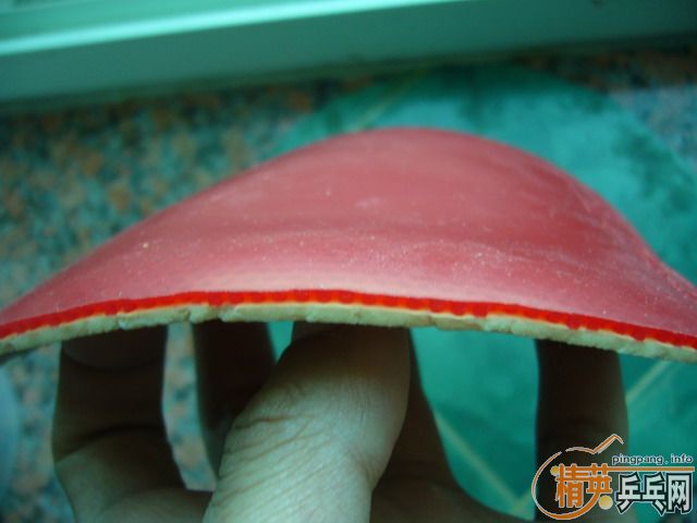 ӭʥ�� ������ ������RENANOS BRIGHT�����ˣ�~~����������~½�������������׳�~~