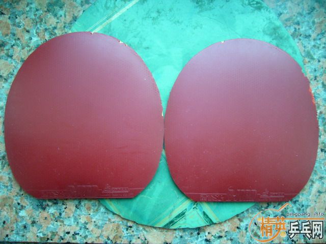 ӭʥ�� ������ TSP BJORN ��~~����������~½�������������׳�~~