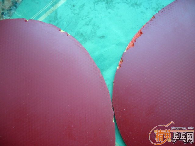 ӭʥ�� ������ TSP BJORN ��~~����������~½�������������׳�~~