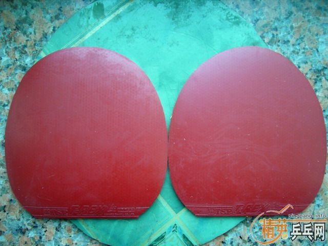 ӭʥ�� ������ TSP T-REX��~~����������~½�������������׳�~~