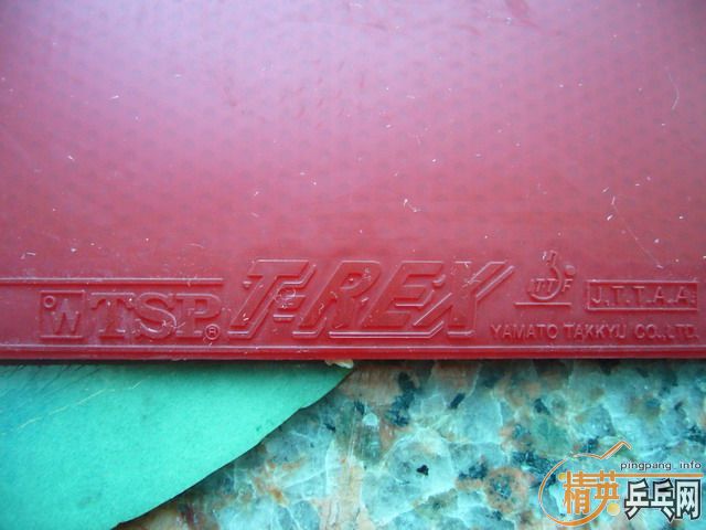 ӭʥ�� ������ TSP T-REX��~~����������~½�������������׳�~~