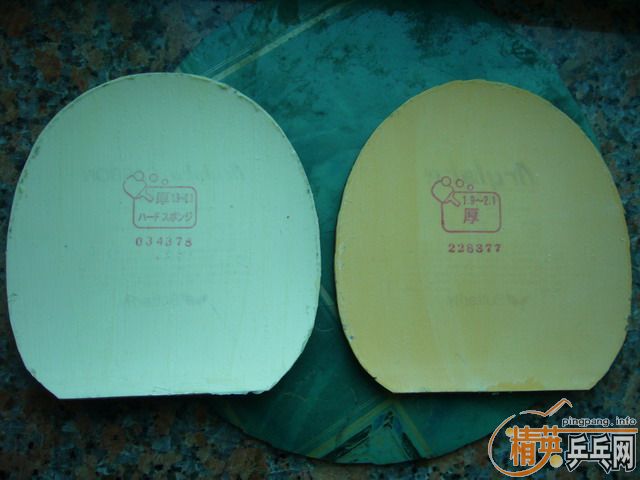 ӭʥ�� ������ TSP T-REX��~~����������~½�������������׳�~~