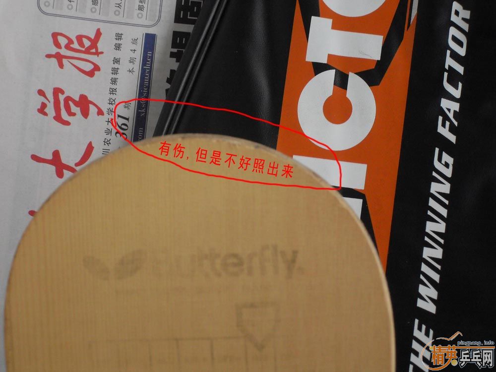 300��������ֱ�塿������ľ,�װ��,�׾���,��,��,�Ƶ���ǿ.ֻ�ʺϵ����yeo