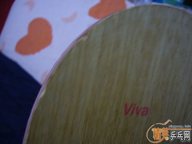 ӭʥ�� ������ JOLLA  VIVA��~����������~