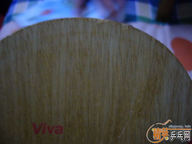 ӭʥ�� ������ JOLLA  VIVA��~����������~