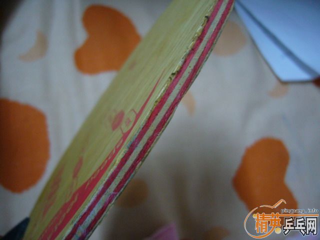 ӭʥ�� ������ JOLLA  VIVA��~����������~