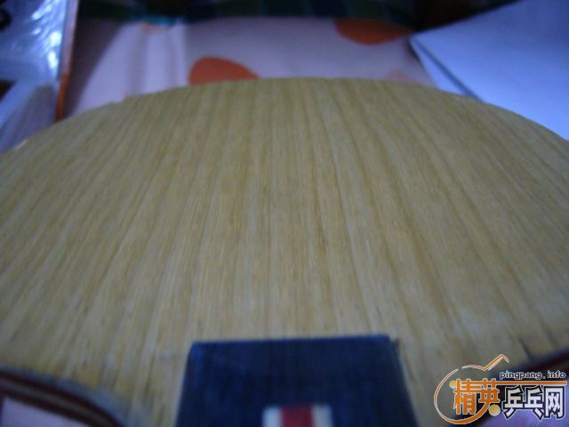 ӭʥ�� ������ JOLLA  VIVA��~����������~