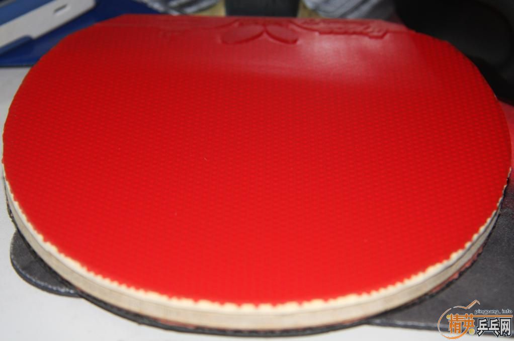 ������ɫ���SPEED FX�����3�Σ�����Ȩ�£����κ��𡿻�����EL��80���ʡ�