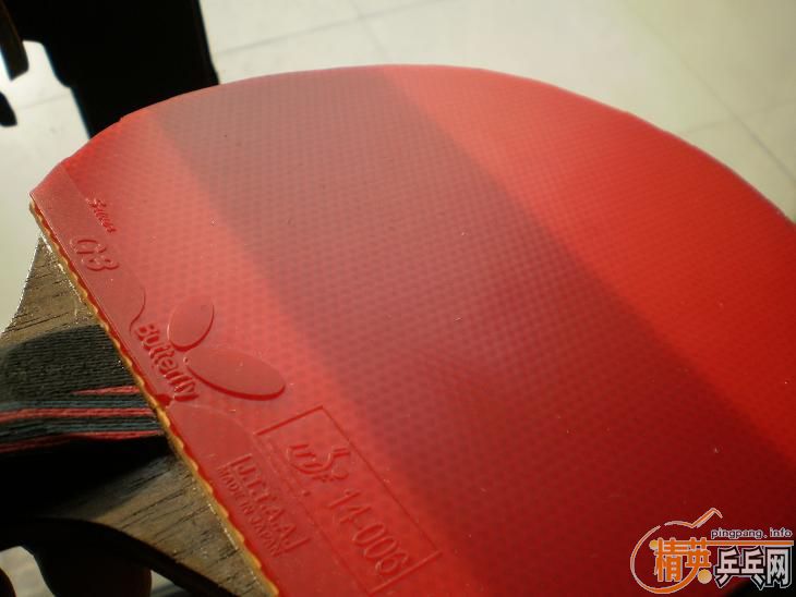 95�º��FL��9���¸߶�����550����ݣ�����