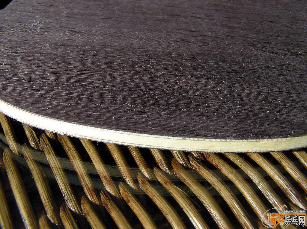 ����ѡ����655����˫ϲ�޻����ѺϽ�����塢Bryce Spped��ʡ���