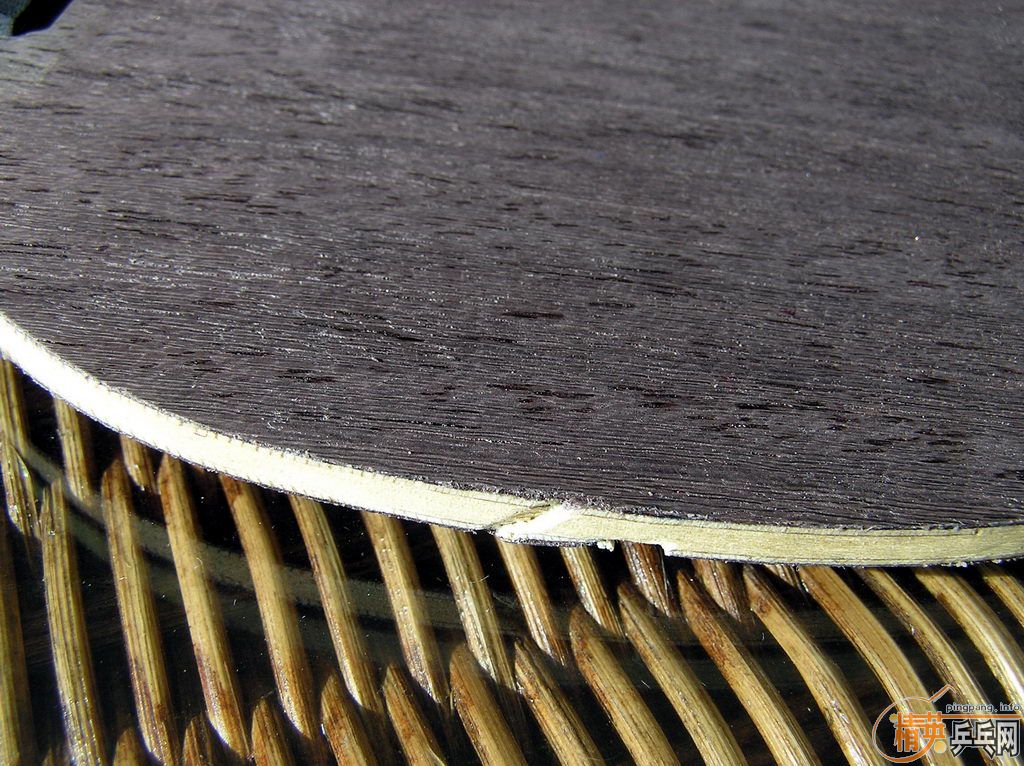 ����ѡ����655����˫ϲ�޻����ѺϽ�����塢Bryce Spped��ʡ���