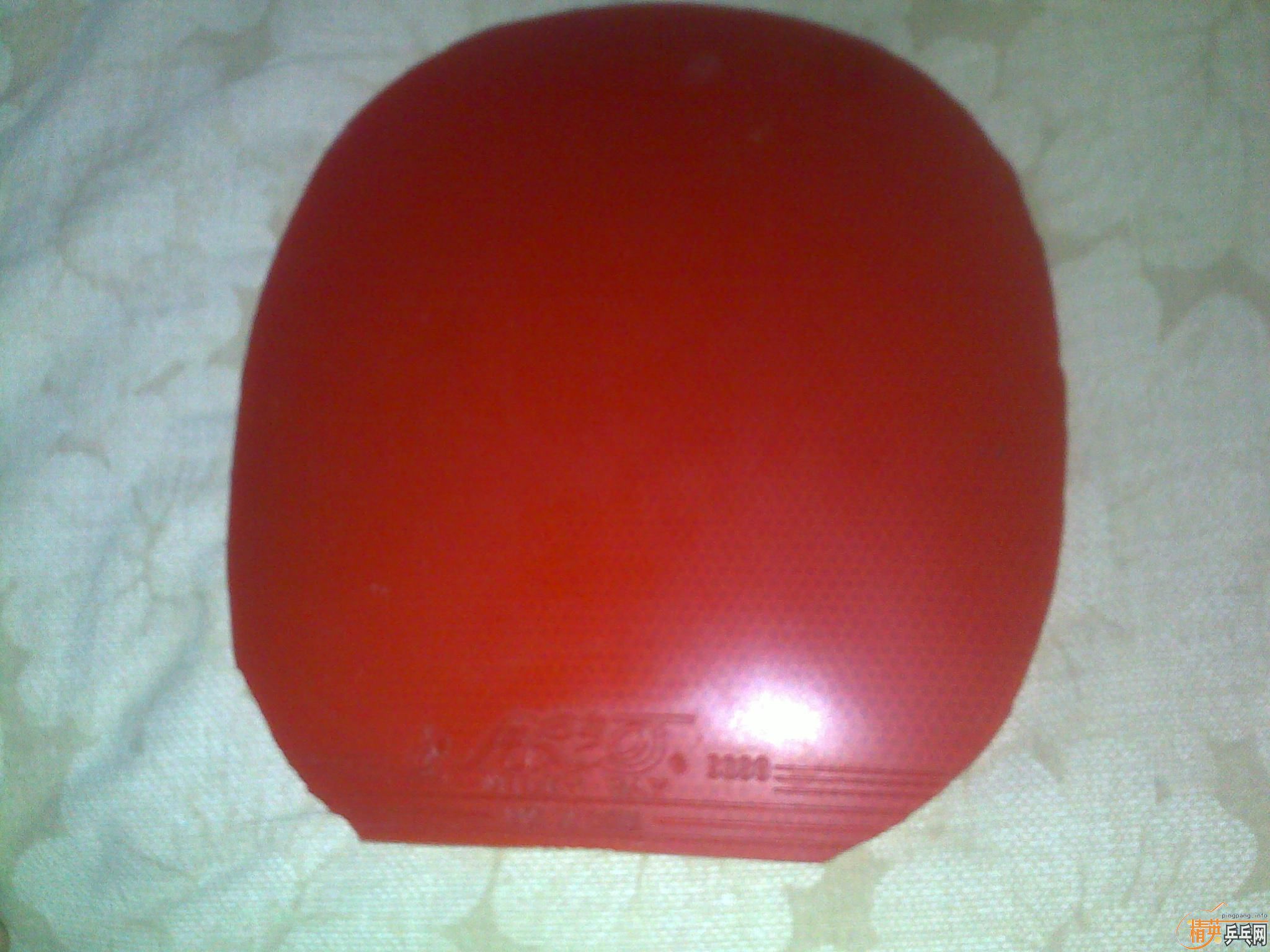 [ԭ��]�����׽���!!!��Ʒ729������9000D��X��ʡ��