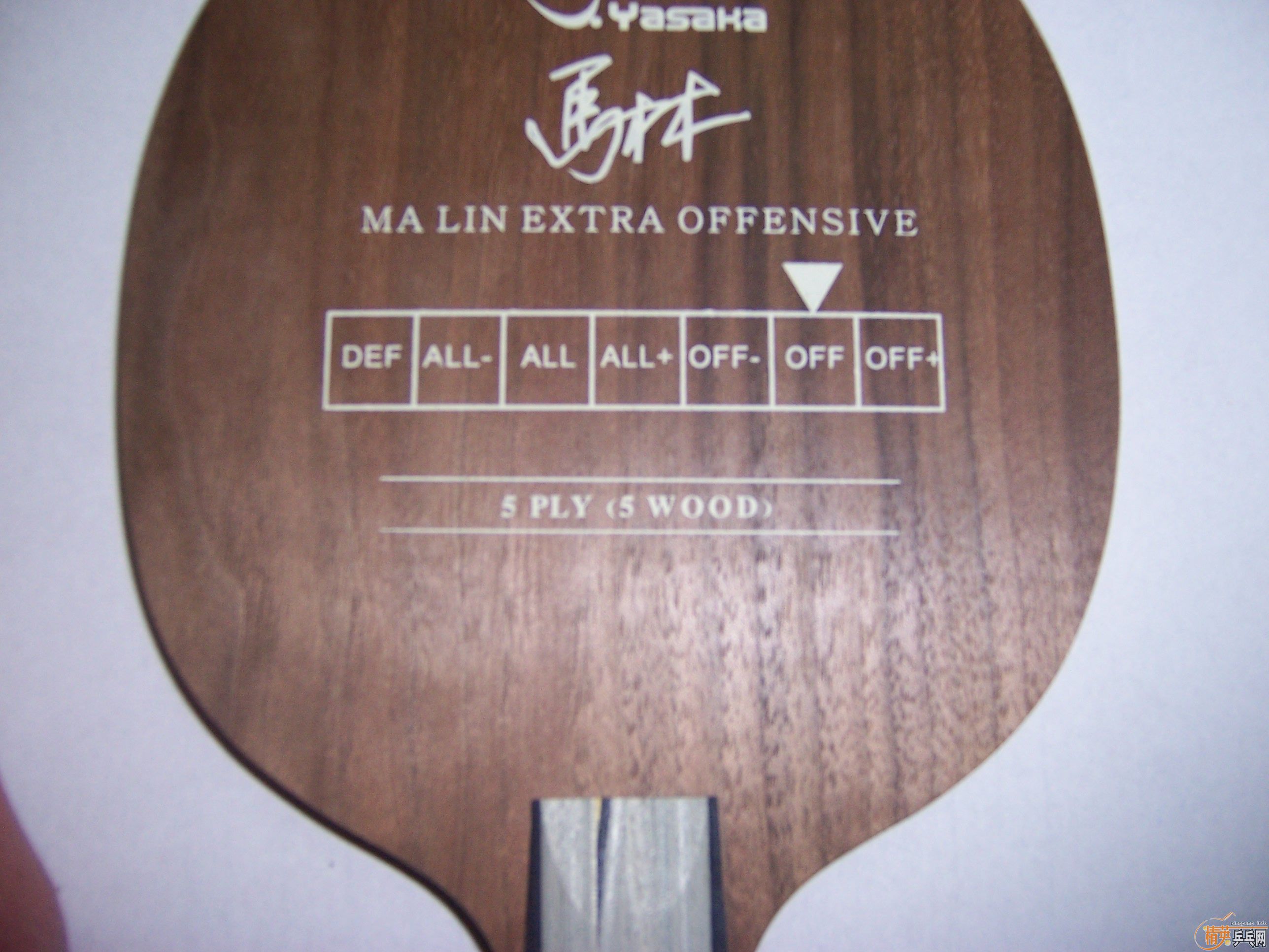 ��ͼ�������͵�һ��YEO ��˭����Ȥ������