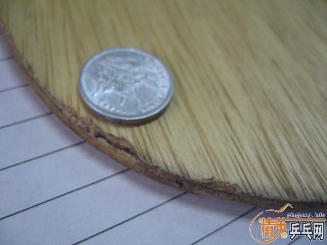 ��������8������̼ 270����ݣ�֧������