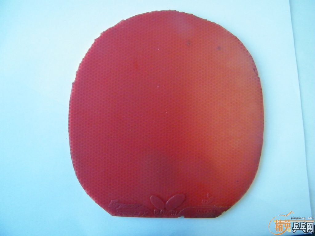 һ�ѽ�Ƥ����������������������������������1