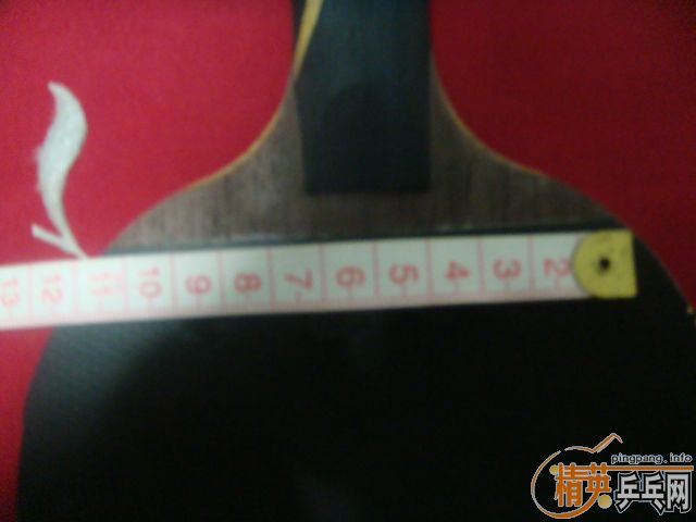 ����ɫ��� SPEED  ��ɫF1