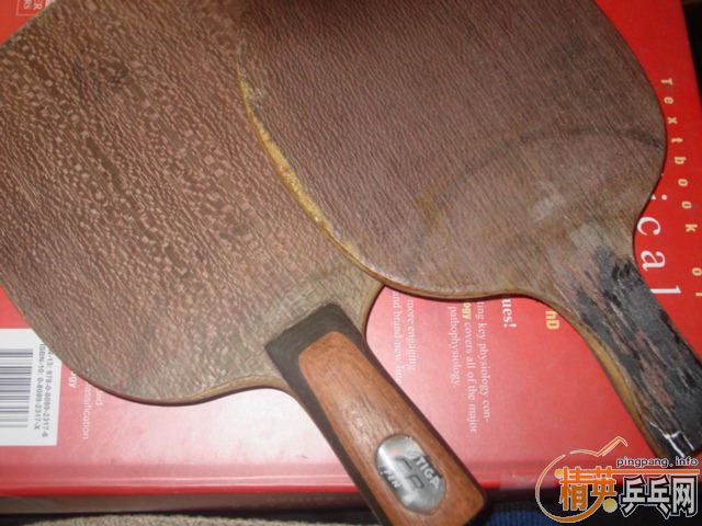 ������ ��۳� ��Koto OC, �@���ژ�OC ��һ��, Ҳ��Ψһһ��koto��ĵġ�����