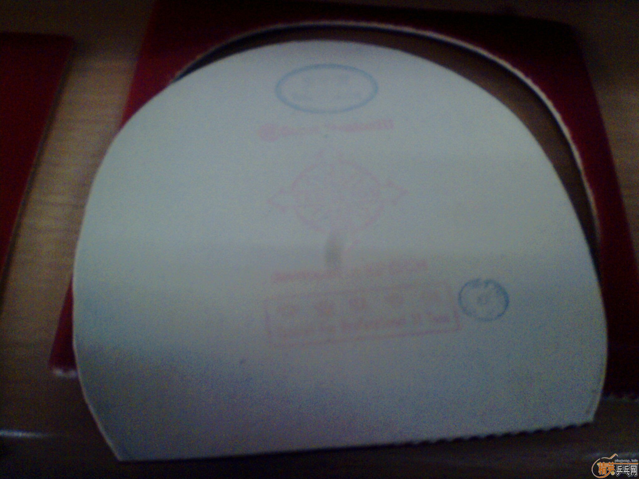 �����ź��µĽ�Ƥ