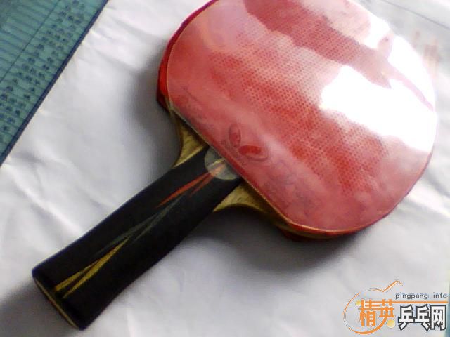 ����AN���ĺ���������ɭ���ˣ�260����ݣ�����